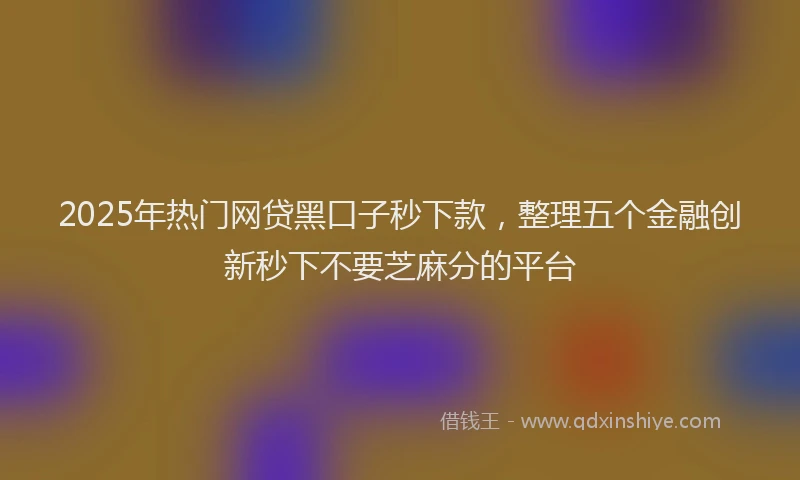 2025年热门网贷黑口子秒下款，整理五个金融创新秒下不要芝麻分的平台