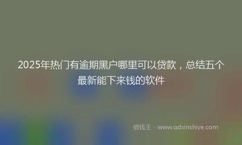 2025年热门有逾期黑户哪里可以贷款，总结五个最新能下来钱的软件