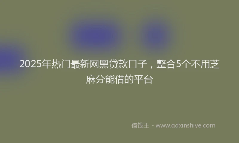 2025年热门最新网黑贷款口子，整合5个不用芝麻分能借的平台