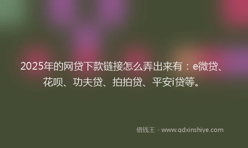 2025年的网贷下款链接怎么弄出来有：e微贷、花呗、功夫贷、拍拍贷、平安i贷等。