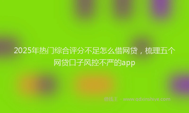 2025年热门综合评分不足怎么借网贷，梳理五个网贷口子风控不严的app