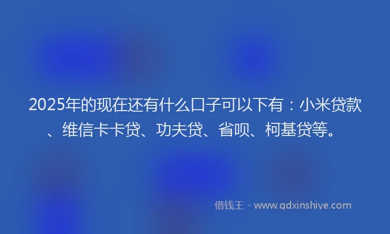 2025年的现在还有什么口子可以下有：小米贷款、维信卡卡贷、功夫贷、省呗、柯基贷等。