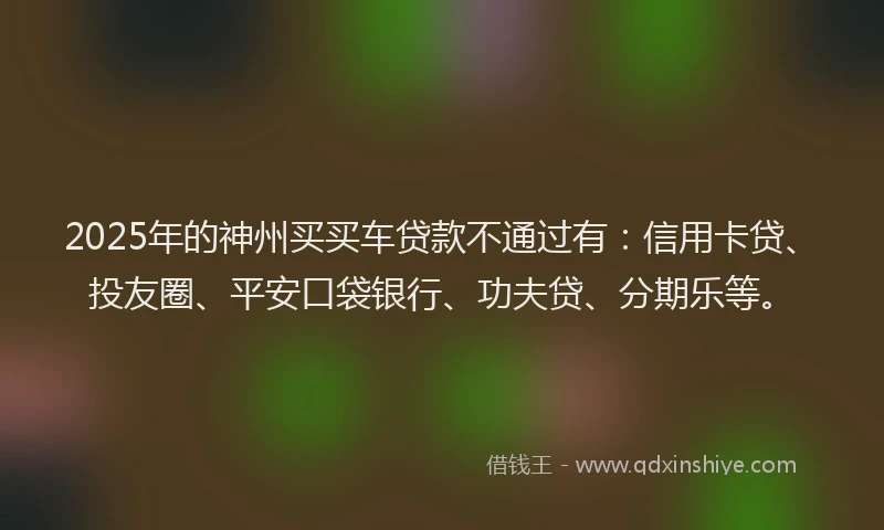 2025年的神州买买车贷款不通过有：信用卡贷、投友圈、平安口袋银行、功夫贷、分期乐等。