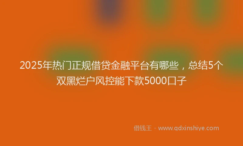 2025年热门正规借贷金融平台有哪些，总结5个双黑烂户风控能下款5000口子