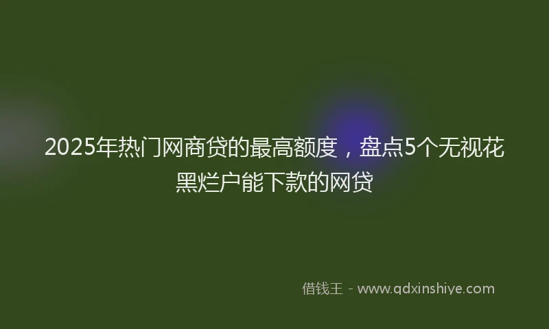 2025年热门网商贷的最高额度，盘点5个无视花黑烂户能下款的网贷
