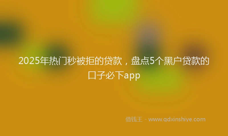 2025年热门秒被拒的贷款，盘点5个黑户贷款的口子必下app
