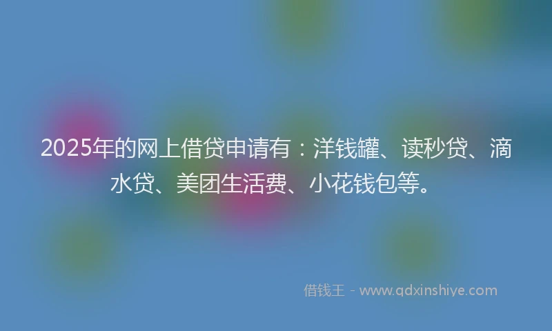 2025年的网上借贷申请有：洋钱罐、读秒贷、滴水贷、美团生活费、小花钱包等。