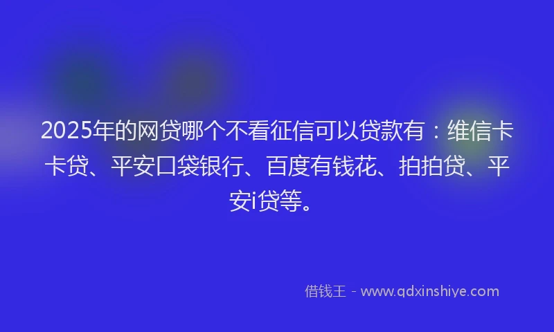 2025年的网贷哪个不看征信可以贷款有：维信卡卡贷、平安口袋银行、百度有钱花、拍拍贷、平安i贷等。