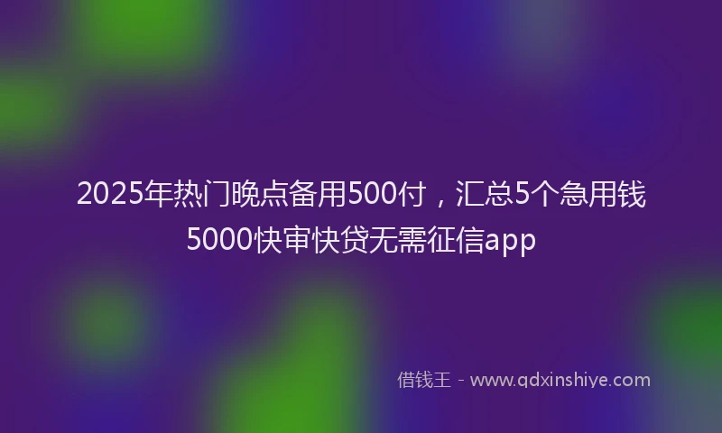 2025年热门晚点备用500付，汇总5个急用钱5000快审快贷无需征信app
