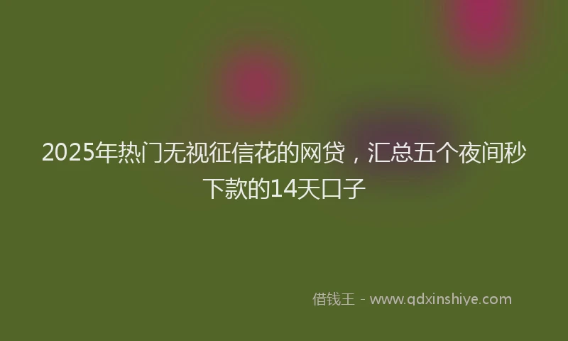 2025年热门无视征信花的网贷，汇总五个夜间秒下款的14天口子
