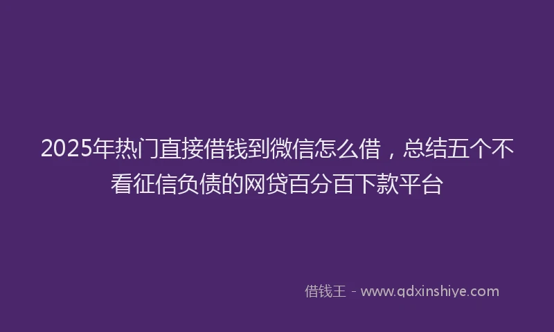 2025年热门直接借钱到微信怎么借，总结五个不看征信负债的网贷百分百下款平台