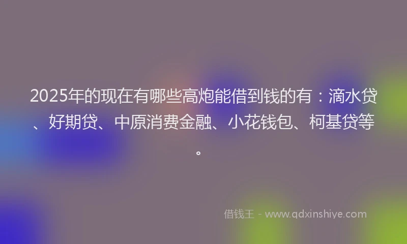 2025年的现在有哪些高炮能借到钱的有：滴水贷、好期贷、中原消费金融、小花钱包、柯基贷等。