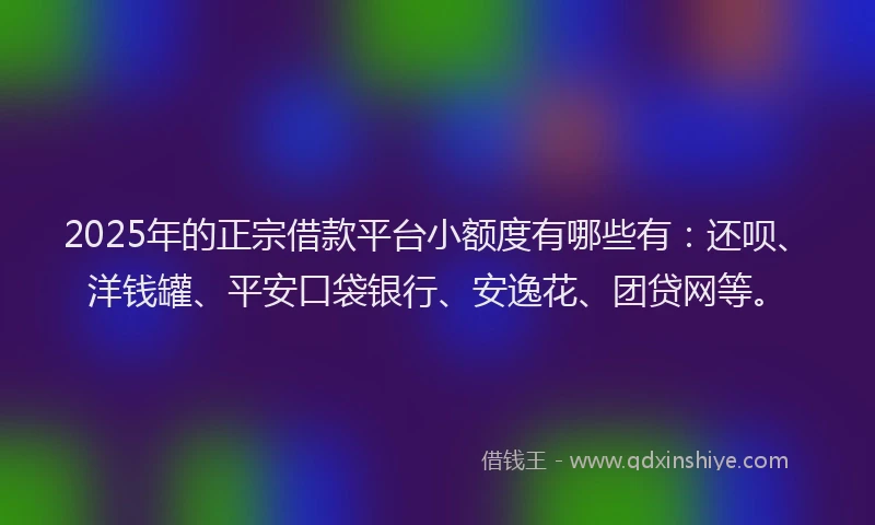 2025年的正宗借款平台小额度有哪些有：还呗、洋钱罐、平安口袋银行、安逸花、团贷网等。