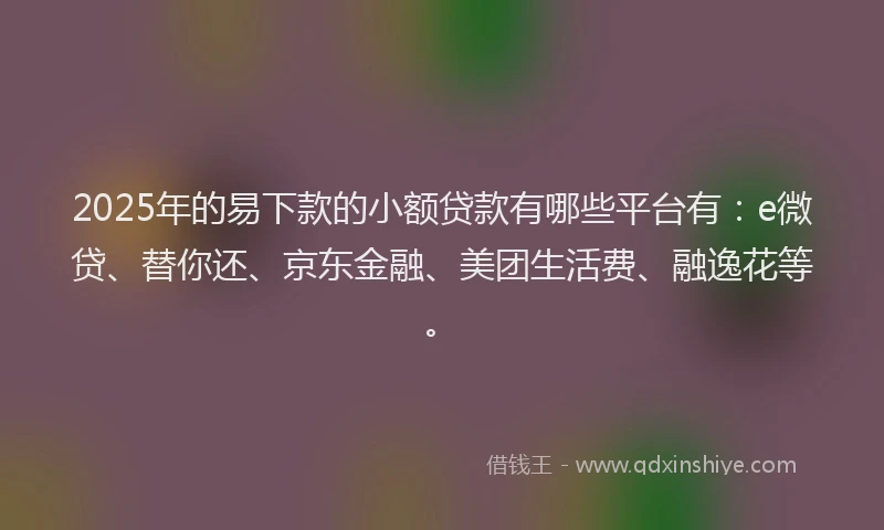 2025年的易下款的小额贷款有哪些平台有：e微贷、替你还、京东金融、美团生活费、融逸花等。