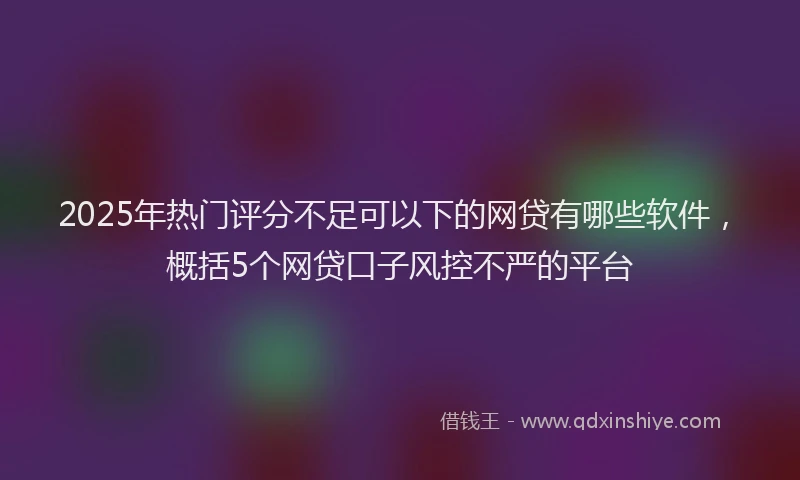 2025年热门评分不足可以下的网贷有哪些软件，概括5个网贷口子风控不严的平台