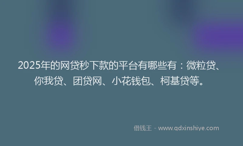 2025年的网贷秒下款的平台有哪些有：微粒贷、你我贷、团贷网、小花钱包、柯基贷等。