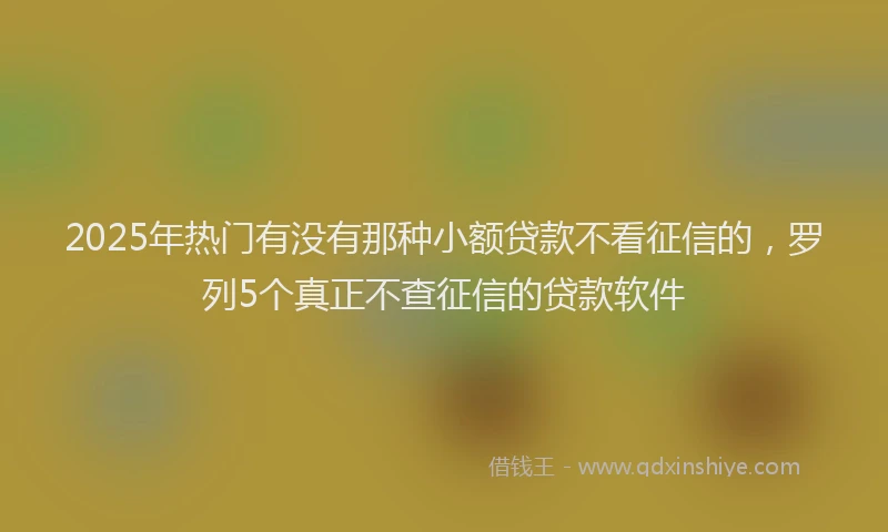2025年热门有没有那种小额贷款不看征信的，罗列5个真正不查征信的贷款软件
