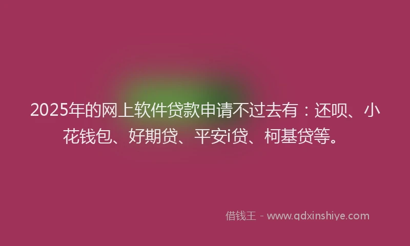 2025年的网上软件贷款申请不过去有：还呗、小花钱包、好期贷、平安i贷、柯基贷等。