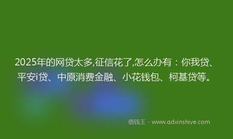 2025年的网贷太多,征信花了,怎么办有：你我贷、平安i贷、中原消费金融、小花钱包、柯基贷等。