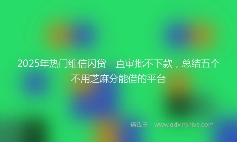 2025年热门维信闪贷一直审批不下款，总结五个不用芝麻分能借的平台