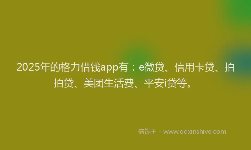 2025年的格力借钱app有：e微贷、信用卡贷、拍拍贷、美团生活费、平安i贷等。