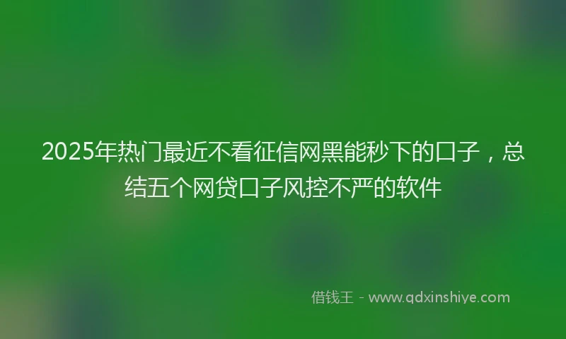2025年热门最近不看征信网黑能秒下的口子，总结五个网贷口子风控不严的软件