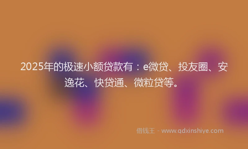 2025年的极速小额贷款有：e微贷、投友圈、安逸花、快贷通、微粒贷等。