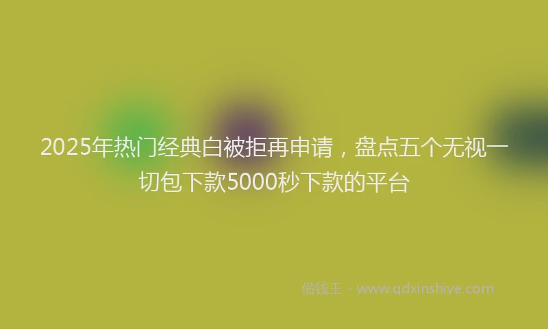 2025年热门经典白被拒再申请，盘点五个无视一切包下款5000秒下款的平台