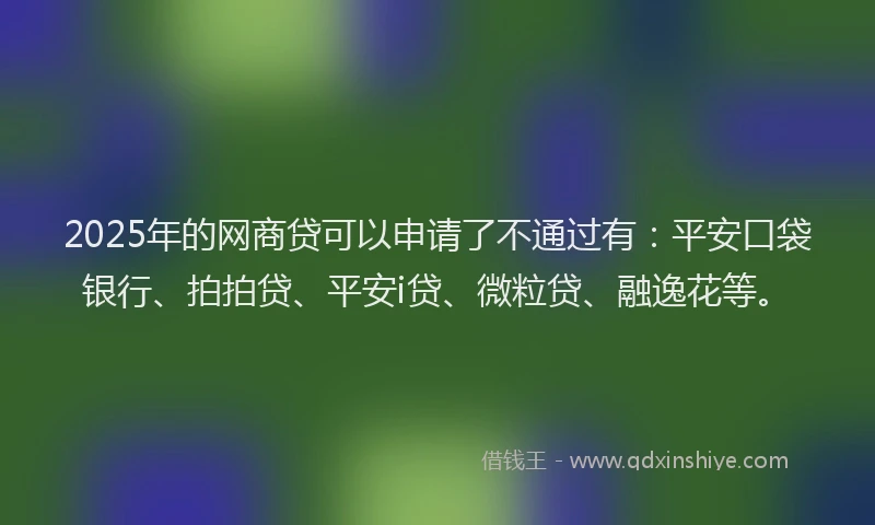 2025年的网商贷可以申请了不通过有：平安口袋银行、拍拍贷、平安i贷、微粒贷、融逸花等。