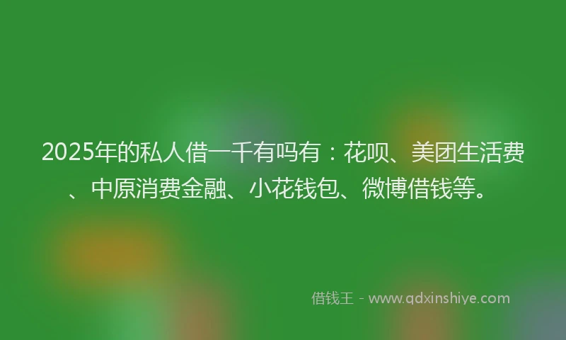 2025年的私人借一千有吗有：花呗、美团生活费、中原消费金融、小花钱包、微博借钱等。
