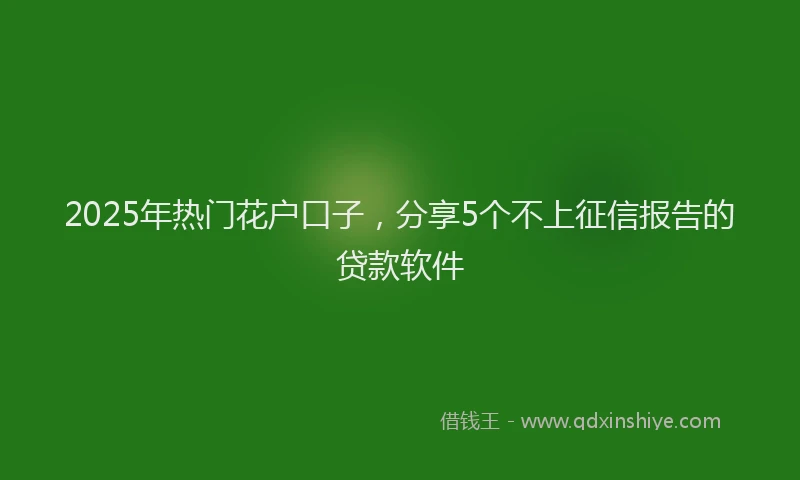 2025年热门花户口子，分享5个不上征信报告的贷款软件