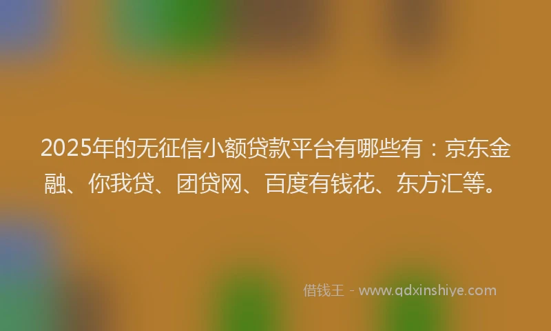 2025年的无征信小额贷款平台有哪些有：京东金融、你我贷、团贷网、百度有钱花、东方汇等。