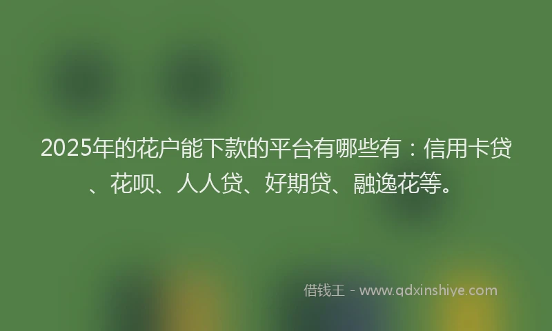 2025年的花户能下款的平台有哪些有：信用卡贷、花呗、人人贷、好期贷、融逸花等。