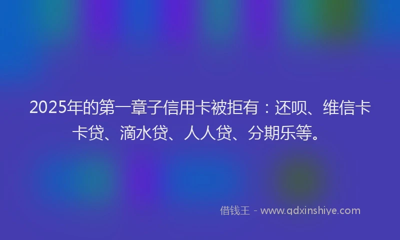 2025年的第一章子信用卡被拒有：还呗、维信卡卡贷、滴水贷、人人贷、分期乐等。