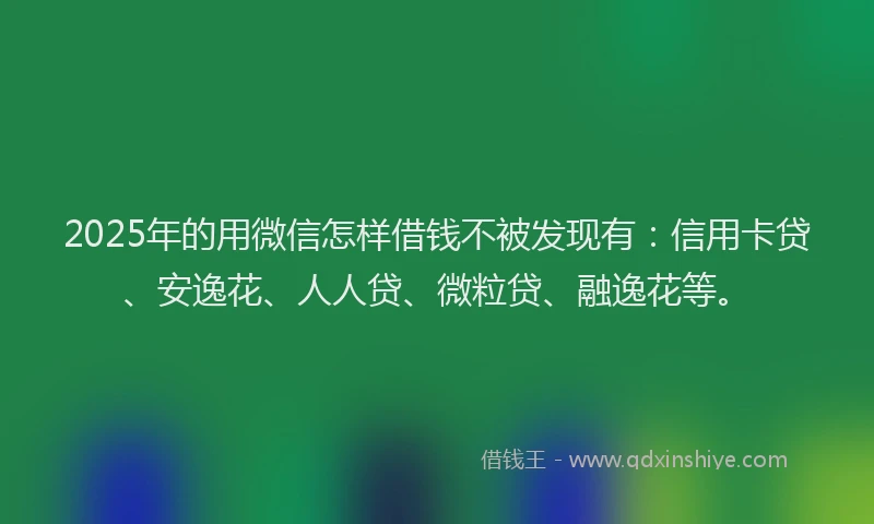 2025年的用微信怎样借钱不被发现有：信用卡贷、安逸花、人人贷、微粒贷、融逸花等。