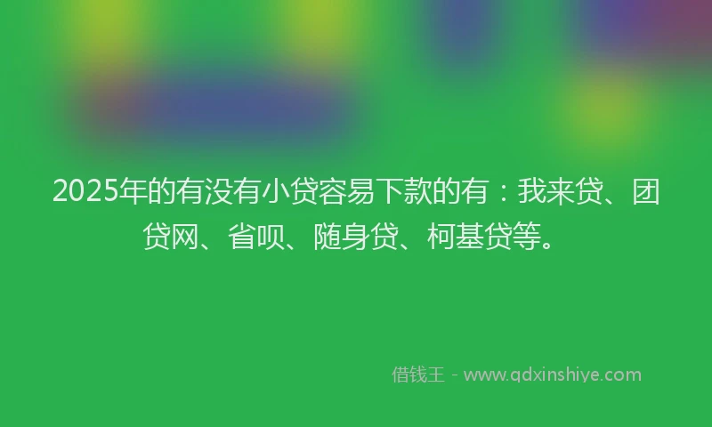 2025年的有没有小贷容易下款的有：我来贷、团贷网、省呗、随身贷、柯基贷等。
