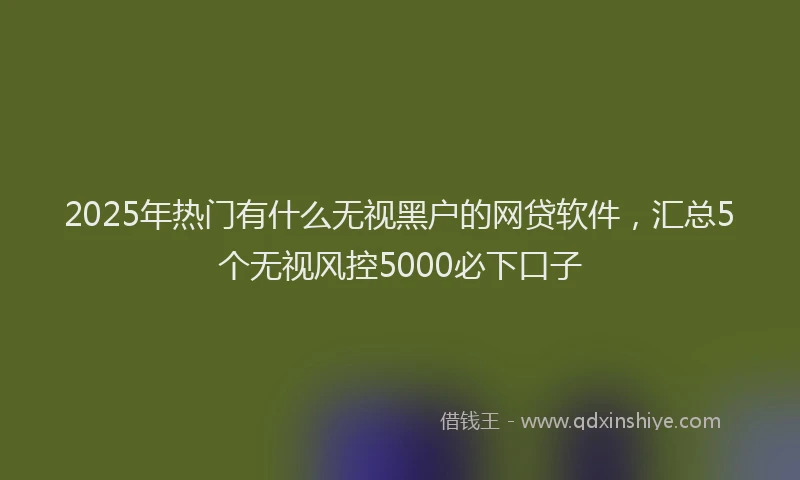 2025年热门有什么无视黑户的网贷软件，汇总5个无视风控5000必下口子