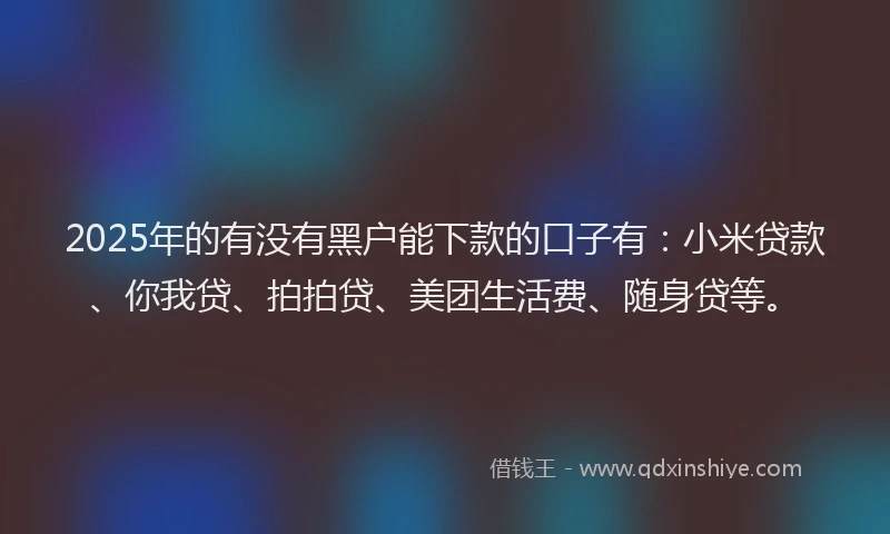 2025年的有没有黑户能下款的口子有：小米贷款、你我贷、拍拍贷、美团生活费、随身贷等。