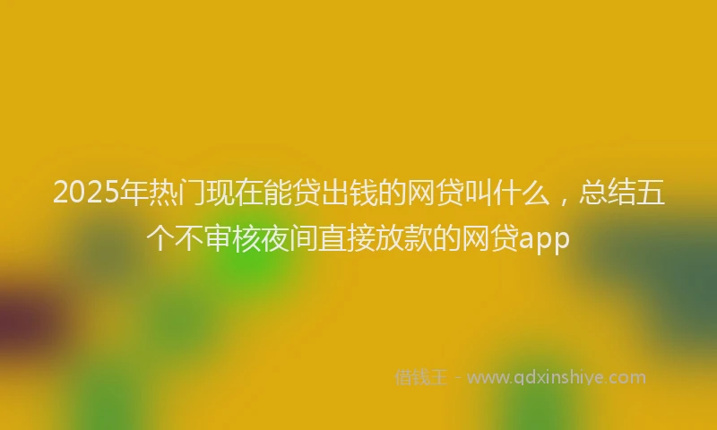 2025年热门现在能贷出钱的网贷叫什么，总结五个不审核夜间直接放款的网贷app