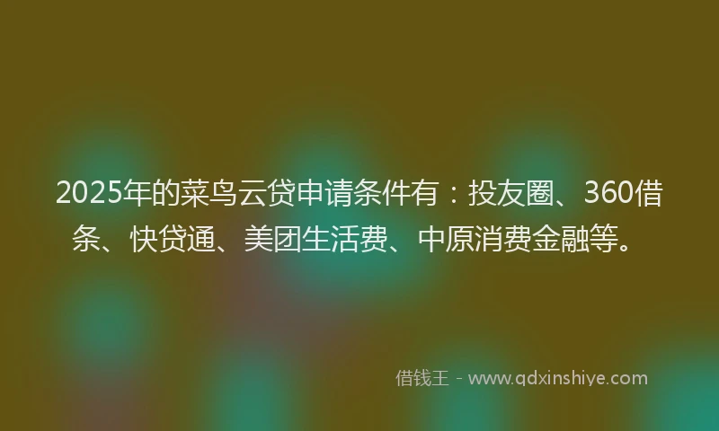 2025年的菜鸟云贷申请条件有：投友圈、360借条、快贷通、美团生活费、中原消费金融等。