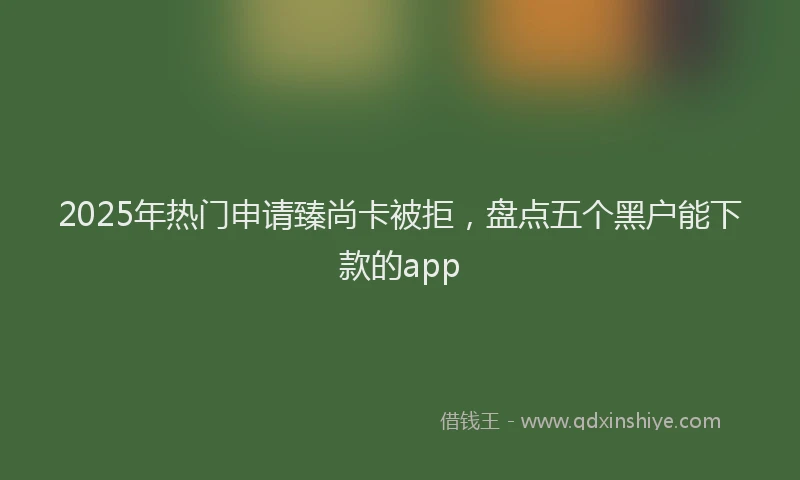 2025年热门申请臻尚卡被拒，盘点五个黑户能下款的app