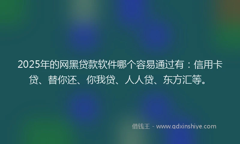 2025年的网黑贷款软件哪个容易通过有：信用卡贷、替你还、你我贷、人人贷、东方汇等。