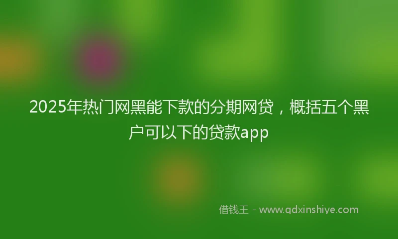 2025年热门网黑能下款的分期网贷，概括五个黑户可以下的贷款app