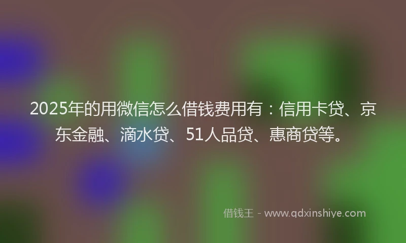 2025年的用微信怎么借钱费用有：信用卡贷、京东金融、滴水贷、51人品贷、惠商贷等。