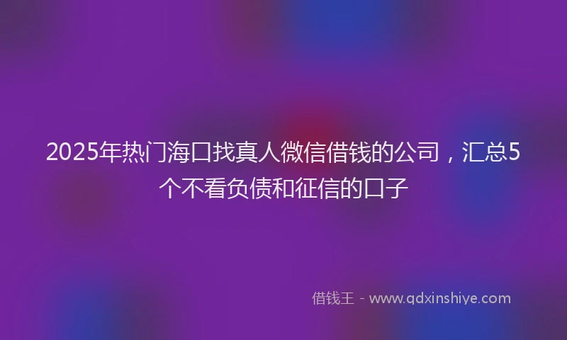 2025年热门海口找真人微信借钱的公司，汇总5个不看负债和征信的口子