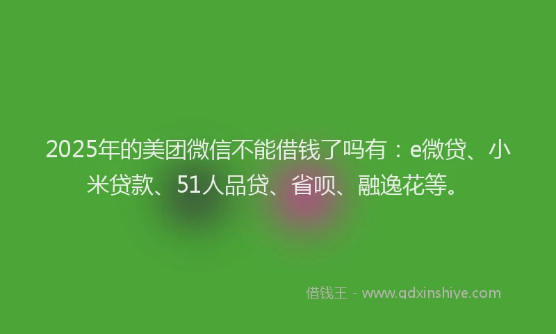 2025年的美团微信不能借钱了吗有：e微贷、小米贷款、51人品贷、省呗、融逸花等。