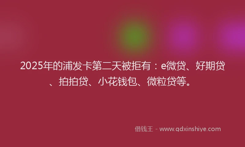 2025年的浦发卡第二天被拒有：e微贷、好期贷、拍拍贷、小花钱包、微粒贷等。