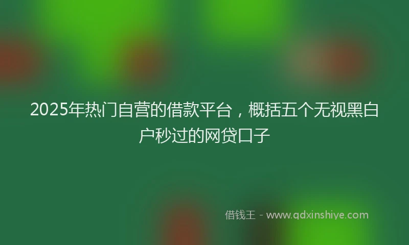 2025年热门自营的借款平台，概括五个无视黑白户秒过的网贷口子