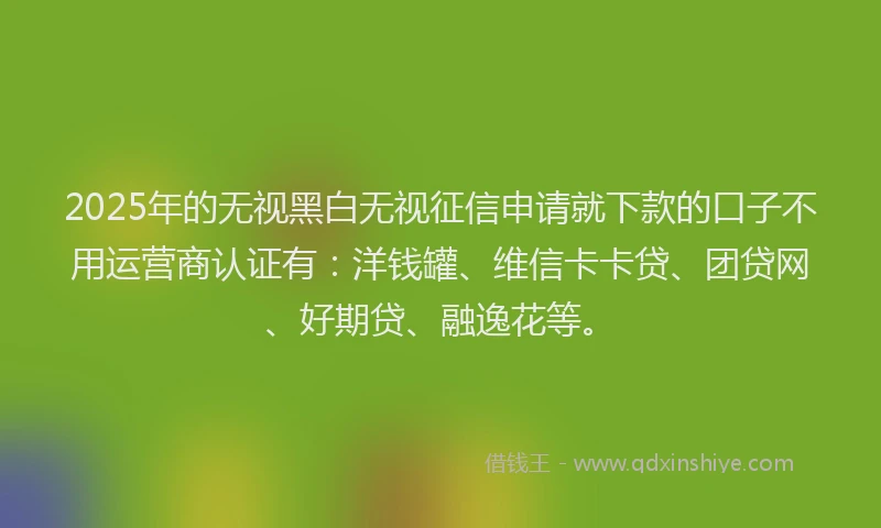 2025年的无视黑白无视征信申请就下款的口子不用运营商认证有：洋钱罐、维信卡卡贷、团贷网、好期贷、融逸花等。