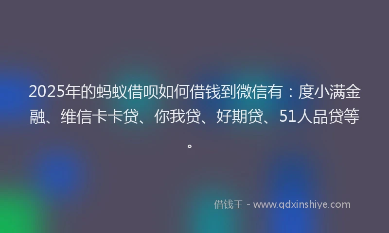2025年的蚂蚁借呗如何借钱到微信有：度小满金融、维信卡卡贷、你我贷、好期贷、51人品贷等。